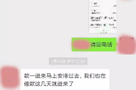 彭泽为什么选择专业追讨公司来处理您的债务纠纷？